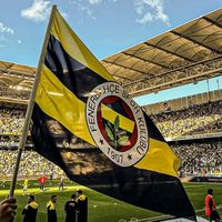 orijinal ses