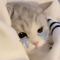 original sound - rikayuliananda