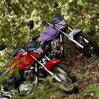 sonhos_motocas