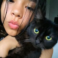 funnykcats