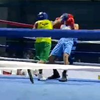 bernalbox2025_55kg