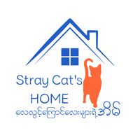 stray.cats.home