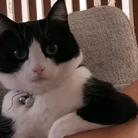 Пфильмы в диапазоне