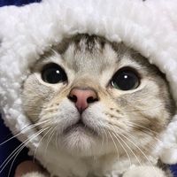 オリジナル楽曲 - み う