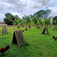 USED BY LEDESMAJHONIEL