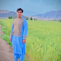 bilal.noorzai5