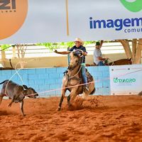 pedrociriaco23