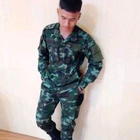 armybarktiger