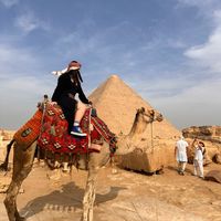 jin_kor_egypt