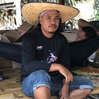 pontap95