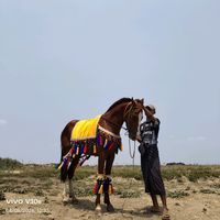 original sound - 🎟☞MG:Ye htet edit