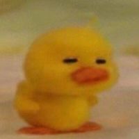 skz___.02