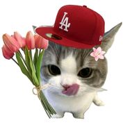 original sound - missylicious ◍•ᴗ•◍