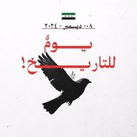 hesham8223