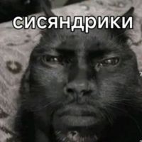 solosucvz37