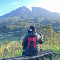 suara asli - viafreestyle