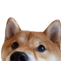 0omaru__