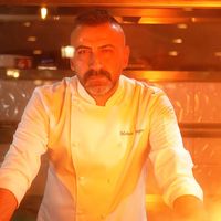 mehmet.yangn1
