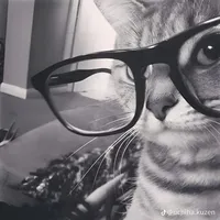 original sound - 25bell4