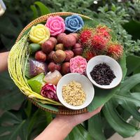nhạc nền - Ký Ức Hà Nội