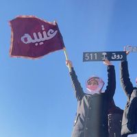 الصوت الأصلي