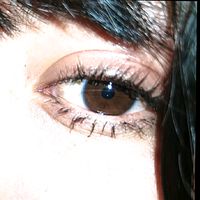 _nunu_x