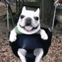 clxxlol