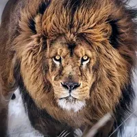 original sound - uzbek_sila7o7