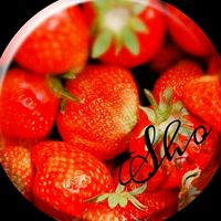 sho_mako_desyo0129
