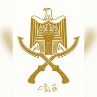 mo.hamed163