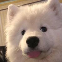 9qox_