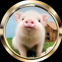 オリジナル楽曲 - 🐖ケン坊🐖🌏+