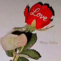 huda_chaudhary06