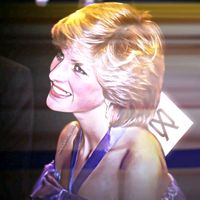 diana317_