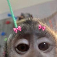 nnnnnnniiiiiiiiiii_
