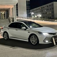 annamyradov5154