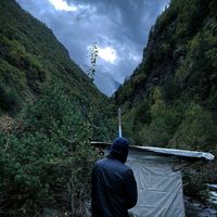 оригинальный звук