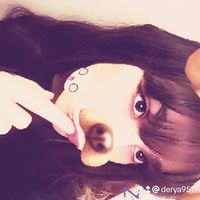 derya9511