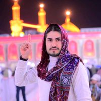 sayedali.shah0