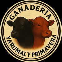 ganaderiayarumalyprimave