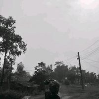 1nonlyninja3