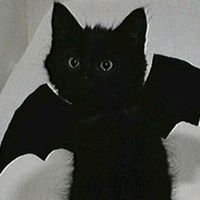 original sound - NICHXVIBES ⚡