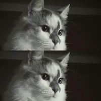 original sound - nami_09mi