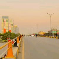 ziddi.larkii273