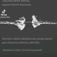 orijinal ses