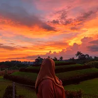 gacorin yuk jangan lupa suport