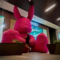 .jesseniags