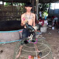 user846070931518