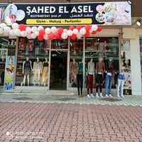 sehd_______alasel