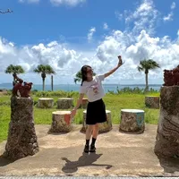 たしかなこと cover菅野樹梨